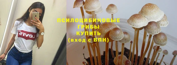бутират Верея