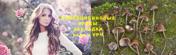 трава Верхнеуральск