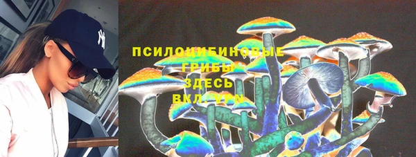 трава Верхнеуральск